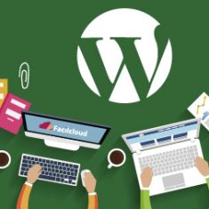 Soluciones sin plugins en Wordpress